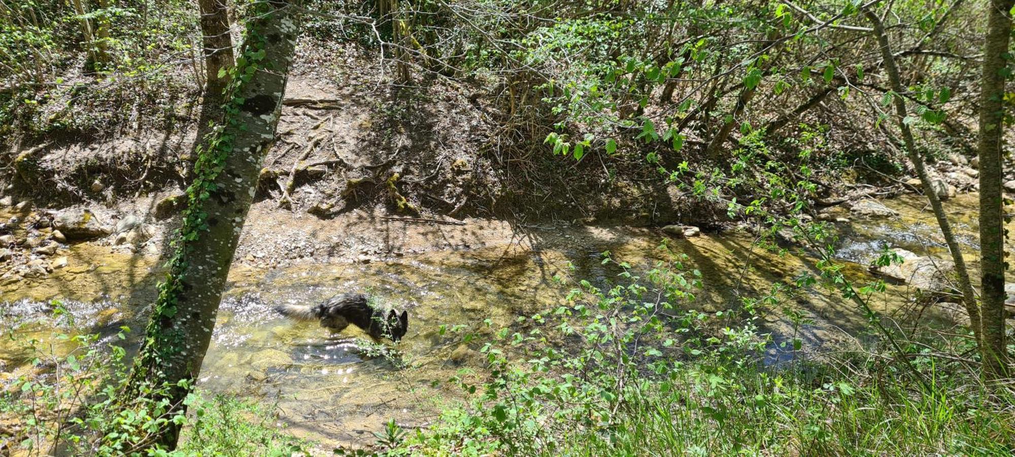 Camping Le Gallo Romain Barbieres Εξωτερικό φωτογραφία